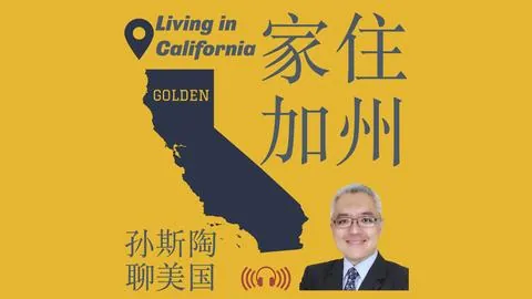 新华视评｜扬帆“新”航路，拓展外贸新天地