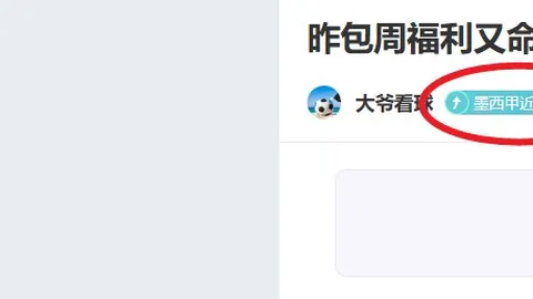 九连霸再现巅峰，11场激战波澜起伏！领头羊迎强敌，谁能挑战霸主地位？